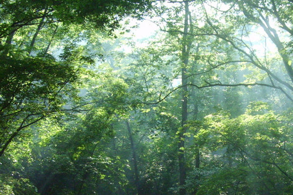 區(qū)域自動氣象站 區(qū)域自動氣象站