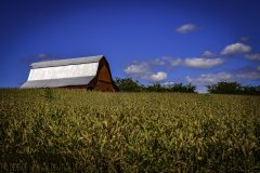 氣象站指的是什么?